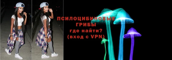 прущие грибы Няндома
