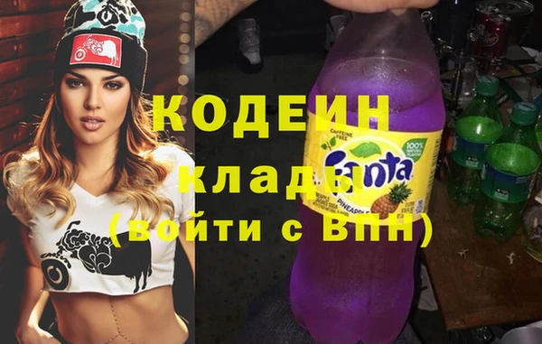 прущие грибы Няндома
