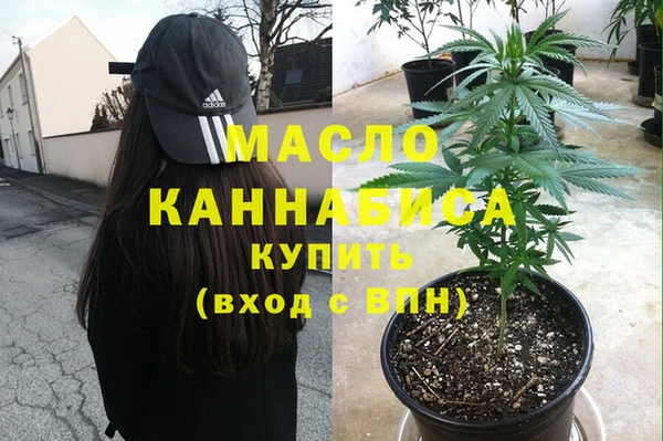 дмт Новодвинск