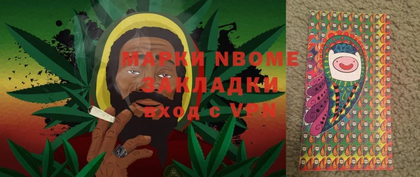 прущие грибы Няндома