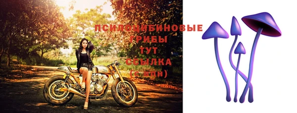 прущие грибы Няндома