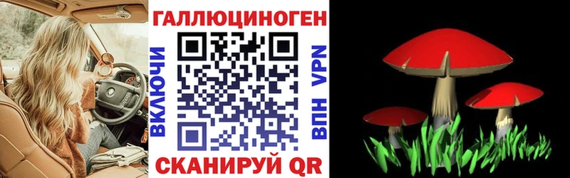 мориарти как зайти  Исилькуль  Галлюциногенные грибы Magic Shrooms 